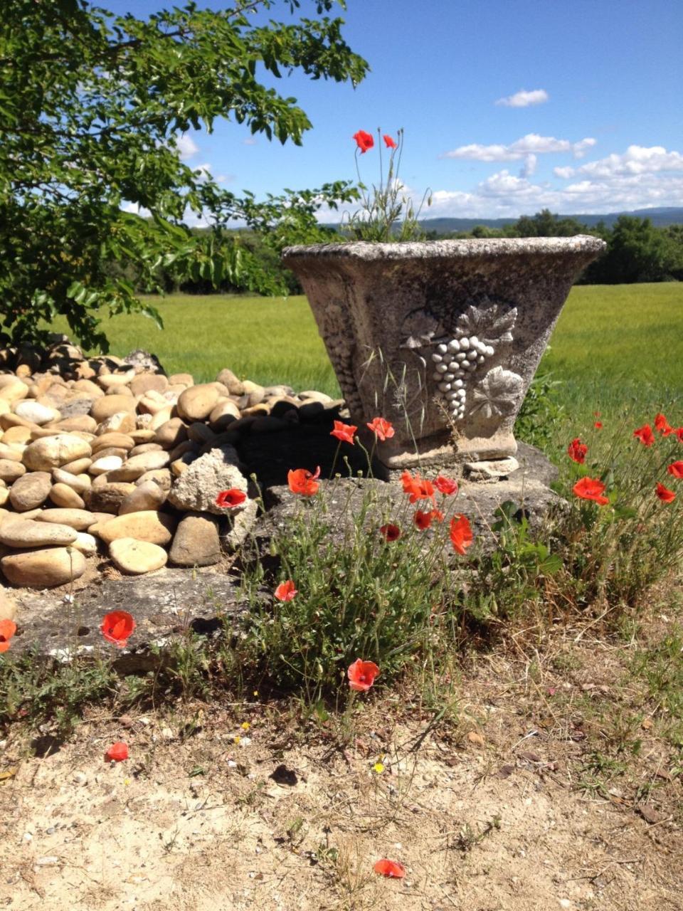 Villa La Salamandre Bleue à Chantemerle-lès-Grignan Extérieur photo